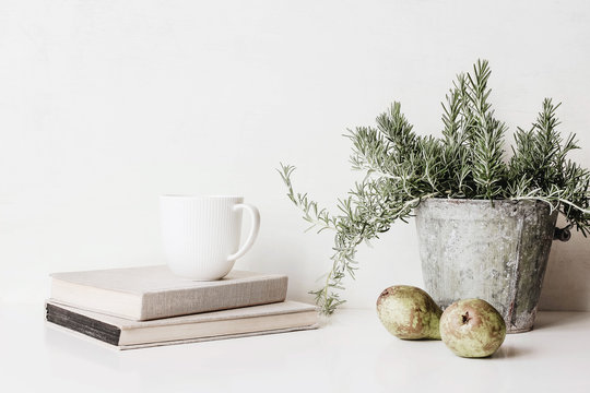 Vintage feminine still life scene. Composition of rosemary herb in old metal flower pot, books, cup of coffee and pears on white table. Rustic design. Home decor.