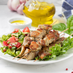 Meat kebabs (chicken, Turkey, pork) on wooden skewers with vegetable salad and yogurt sauce. Spring picnic, grilled food, delicious lunch