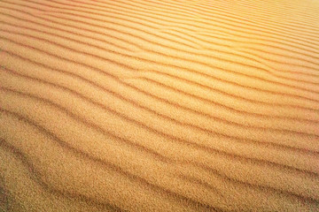 Sand Texture. Brown sand. Background from fine sand. Sand background. yellow dune in the sun. The...