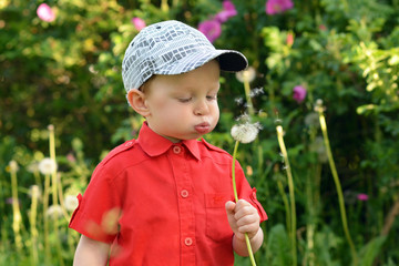 portpait of a boy with a dandelion in the park