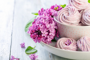 Russian pink marshmallow and blooming lilac.