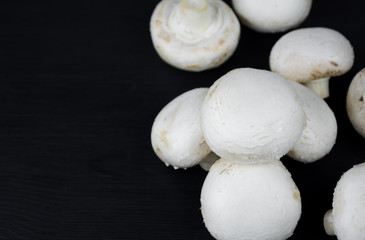 Mushrooms champignons on dark background