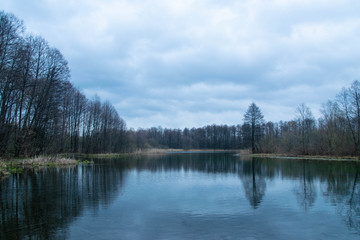 Fototapeta na wymiar beautiful forest landscape with clear lake
