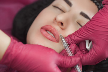 Cosmetologist making procedure. Dermatologist making an injection of botox or hyaluronic acid. Close up still of lip injection. Lip booster procedure. Beauty salon service. - obrazy, fototapety, plakaty