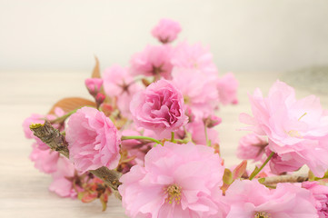 Fototapeta na wymiar Japanische Kirschblüten mit schwachen Hintergrund