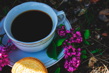 cup of tea and flowers