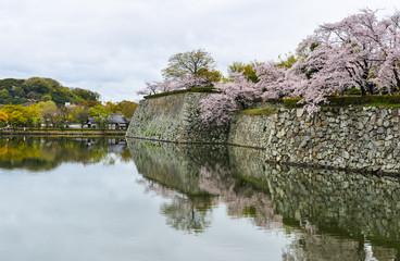 Cherry blossom with stone moat