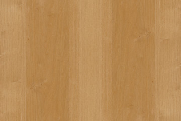 brown oakwood tree timber wood surface structure backdrop texture background wallpaper