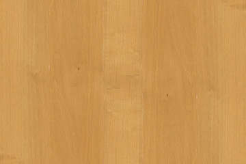 brown oakwood tree timber wood surface structure backdrop texture background wallpaper