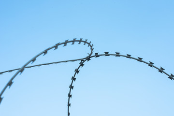 Fototapeta na wymiar Barbed wire on blue sky. Prison not free