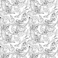 Seamless doodle blueberry pattern