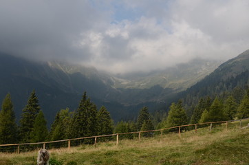 Montagna