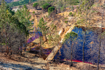 Swamp of Tumbanales with water of red color.
