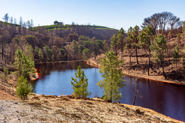 Obraz premium Swamp of Tumbanales, Riotinto