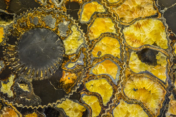 Gemstone ammonite in the form of a spiral, color yellow with gold. Expensive jewelry. Background or...
