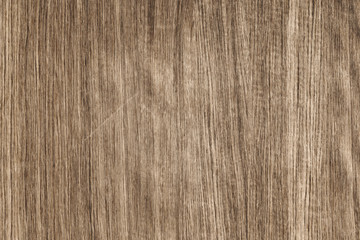 old vintage wood timber tree wooden surface wallpaper structure texture background