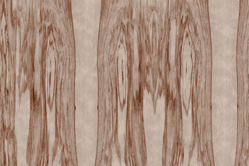 light brown ash-tree timber tree wood structure texture background backdrop