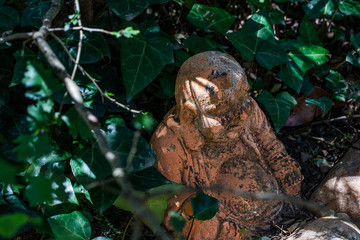 scens in a garden full of vegetation