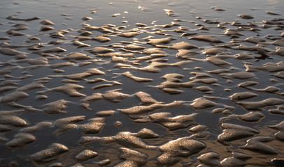 pattern on sandy beach at sunset