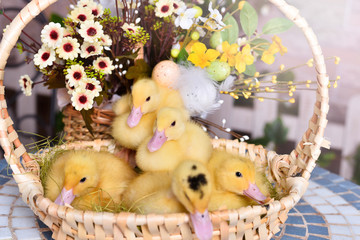 easter ducklings chickens in a basket