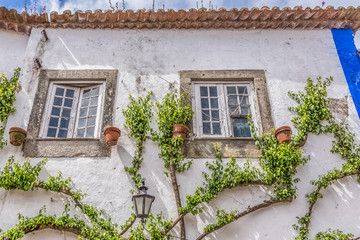 Detailed view of a Portuguese vernacular facade with climb plant around windows, on medieval...