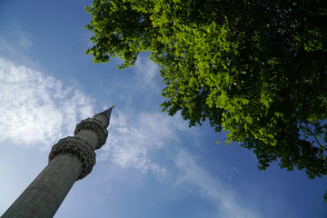 Minaret of The Suleymaniye Mosque at Istanbul with a plane tree