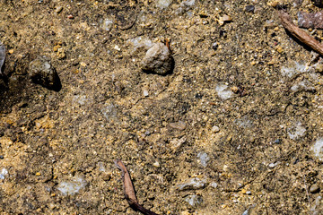 pattern with green plants and rocks