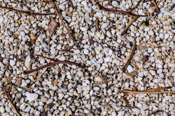 pattern with green plants and rocks