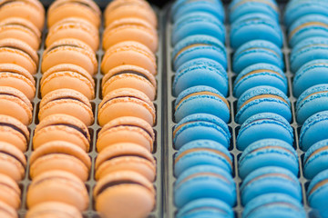 Colorful french macarons dessert with vintage pastel tones, close up. Tasty sweet color macaroon, bakery concept.