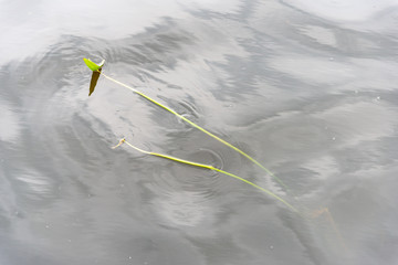 abstract texture of water reflections