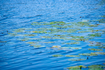 abstract texture of water reflections