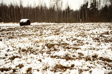 frozen ground texture in winter countryside