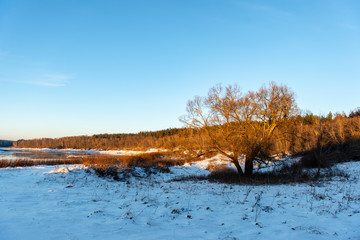 frozen ground texture in winter countryside