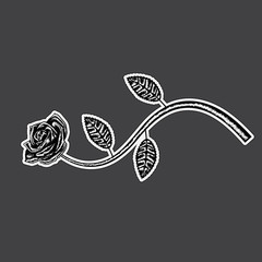 Decorative rose with long stem. Vector flower silhouette