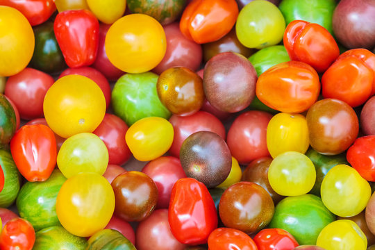 Fresh cherry tomatoes in different colors