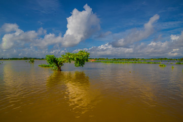 Viet Nam
