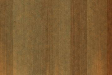 Fototapeta premium old vintage rustic lumber wood timber tree wooden surface wallpaper structure texture background