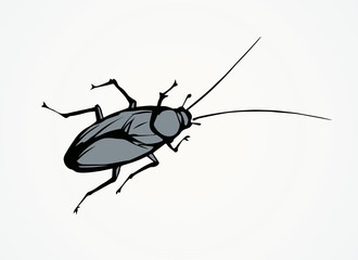 Cockroach. Vector drawing