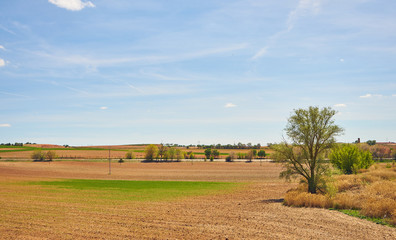 Fototapeta na wymiar Landscape in spring with fields full of brown and green colors