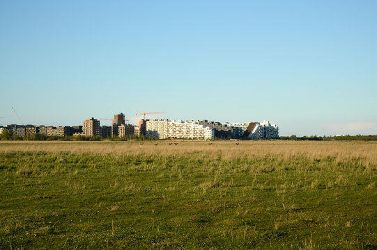 Amagerf&aelig;lled &Oslash;restad - Stop the city