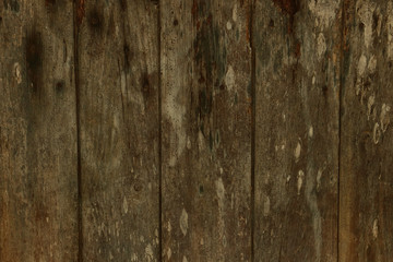 old vintage rustic lumber wood timber tree wooden surface wallpaper structure texture background