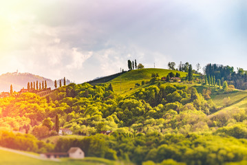 Austria Vineyards Leibnitz area south Styria travel spot. Edited photo with light leaks