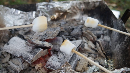 BBQ Party marshmallow Burn Moth