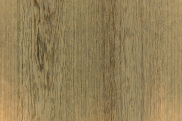 Naklejka premium old vintage rustic lumber wood timber tree wooden surface wallpaper structure texture background