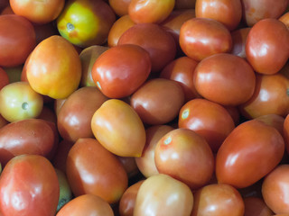 Red tomatoes in South India, Kochi, Kerala