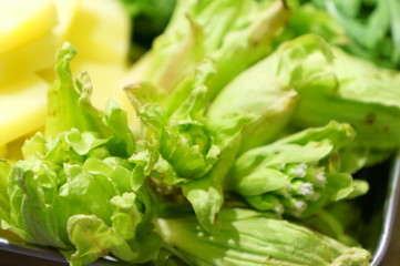 Fried Wild vegetables cuisine Tempura