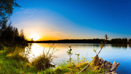 Lake with trees at sunset on a beautiful summer evening