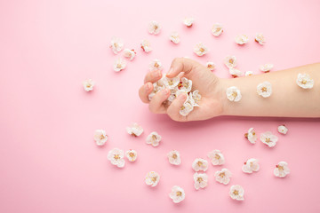 Spa natural skin care products concept. Spring flowers in woman hand. Apricot blossoms, pink background, copy space.