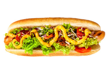 Delicious hotdogs on white background