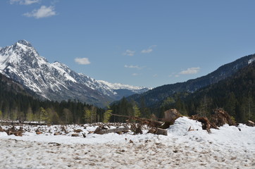 neve